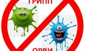 Вирус