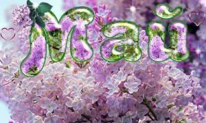май